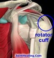 rotator1